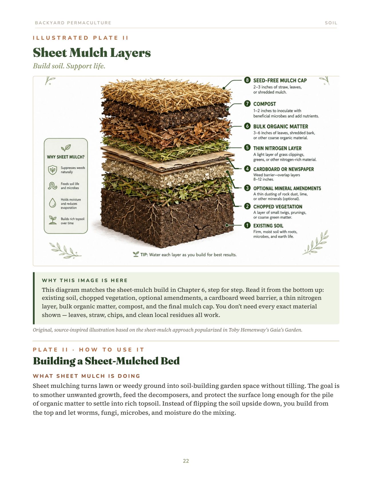 Backyard Permaculture, page 22